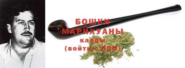 спайс Гвардейск