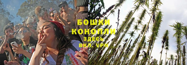 дживик Щучье