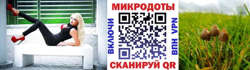 Псилоцибиновые грибы ЛСД  ОМГ ОМГ вход  Аркадак  закладки 